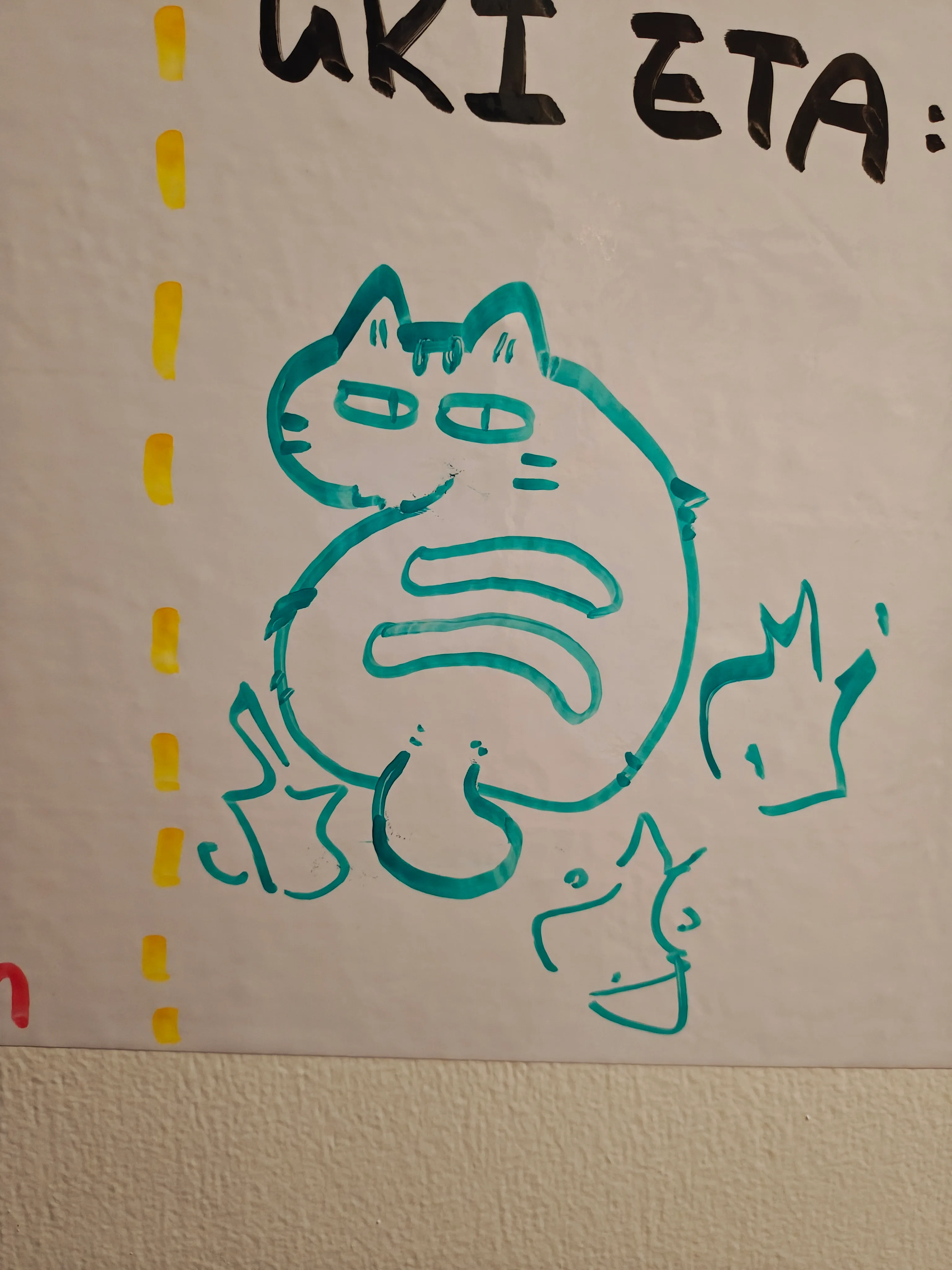 cat.jpg