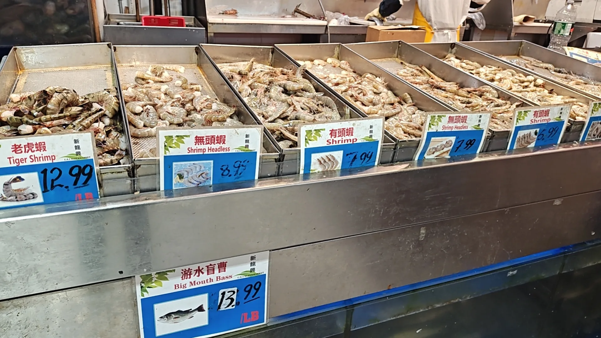 shrimp
